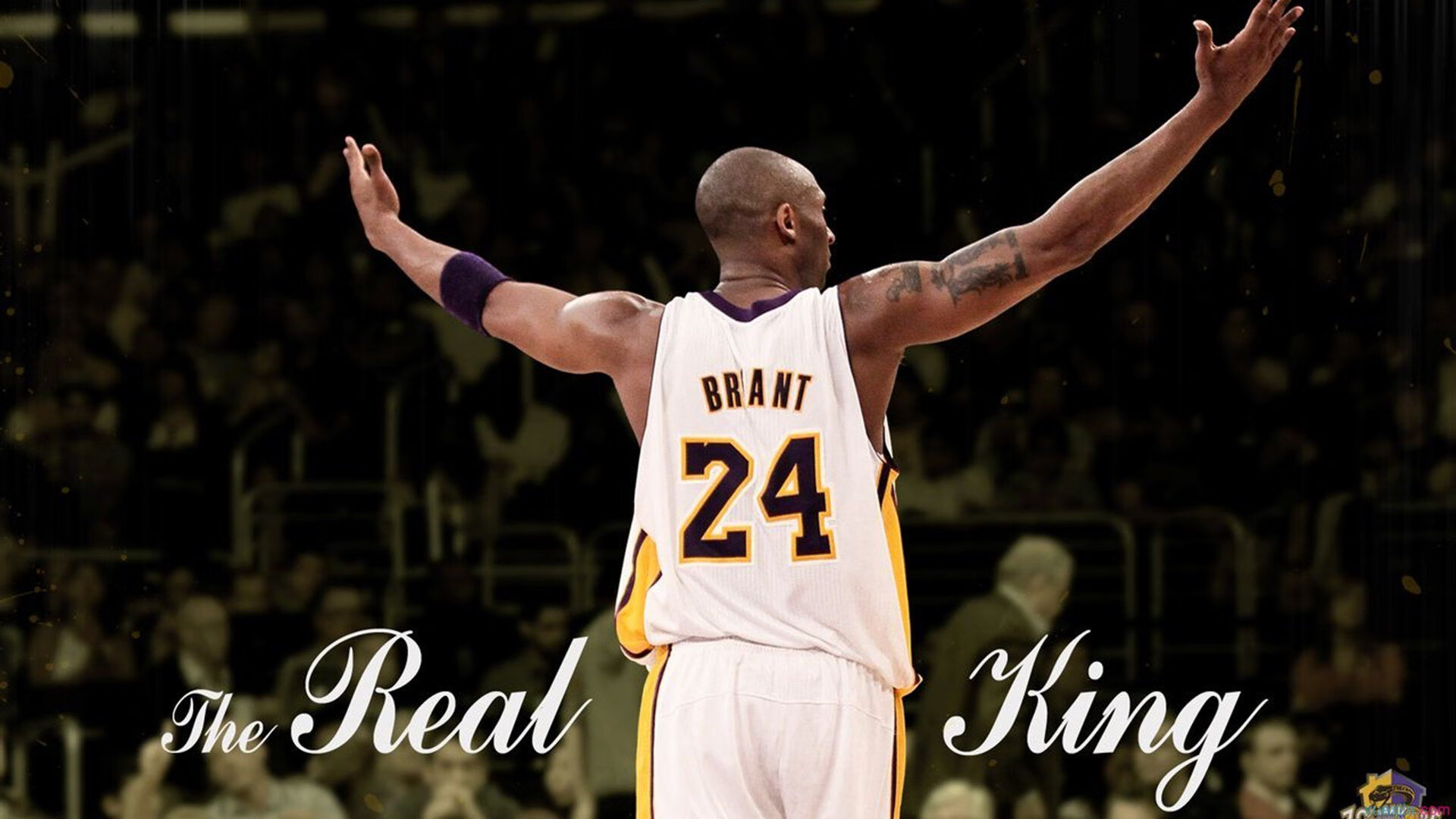 球员场上表现精华盘点，球员场上位置