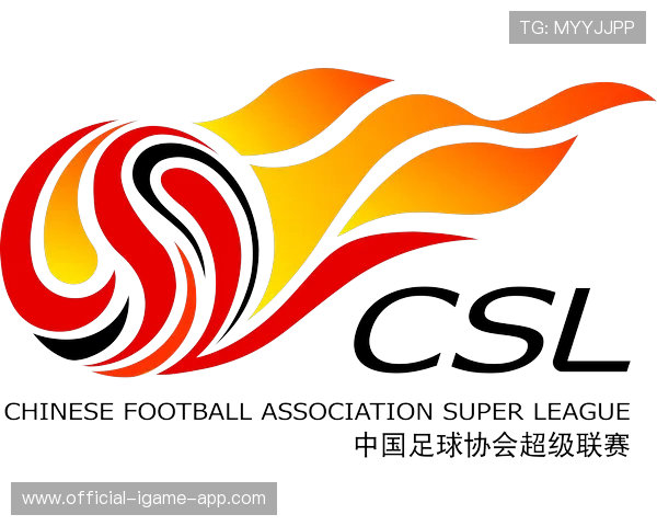 中国足球职业联赛加强俱乐部财务透明管理，中国足球协会资金来源